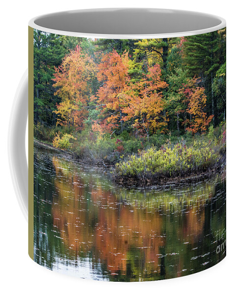 Autumn Coffee Mug featuring the photograph Autumn Impression by John Greco
