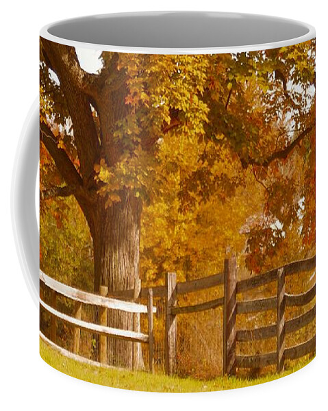 Maple Tree Coffee Mug featuring the photograph Autumn in Chester County II by Susan Maxwell Schmidt