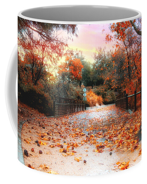 Fall Coffee Mug featuring the photograph Autumn in Discovery Lake by Alison Frank