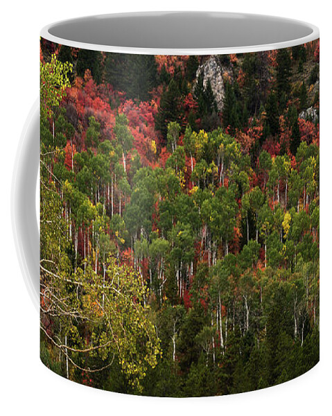 Autumn Coffee Mug featuring the photograph Autumn In Idaho by Yeates Photography
