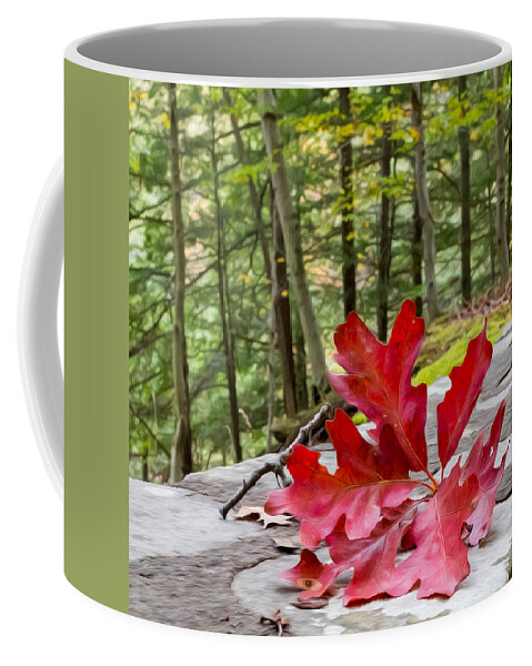 Autumn Leaves Red Green Foliage Wny Letchworth State Park Fall Trees Tree Leaf Change Coffee Mug featuring the photograph Autumn In Letchworth by Valerie Cason