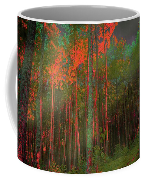 Magic Forest Coffee Mug featuring the photograph Autumn in the Magic Forest by Mimulux Patricia No