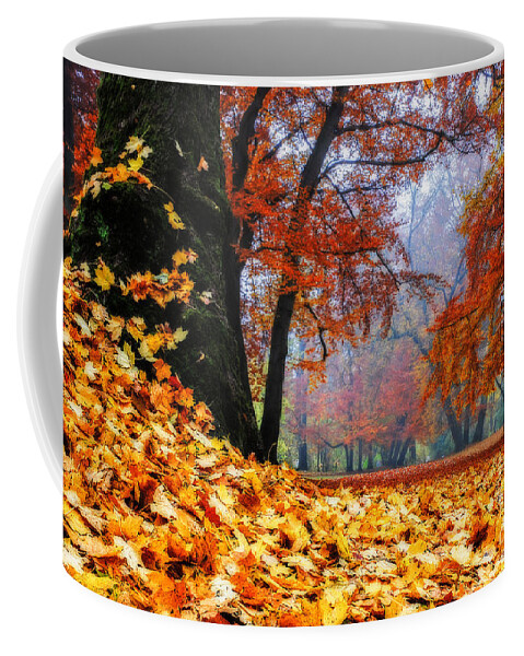 Autumn Coffee Mug featuring the photograph Autumn In The Woodland by Hannes Cmarits