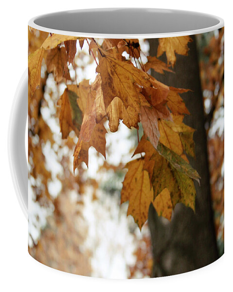 Autumn Coffee Mug featuring the photograph Autumn Leaves 2- by Linda Woods by Linda Woods