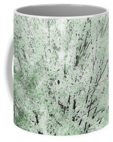 Trees Coffee Mug featuring the photograph Tree of Autumn1 by Merle Grenz