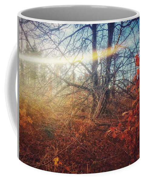 Autumn Coffee Mug featuring the photograph Autumn Light by No Alphabet