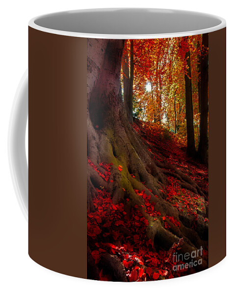 Autumn Coffee Mug featuring the photograph Autumn Light by Hannes Cmarits