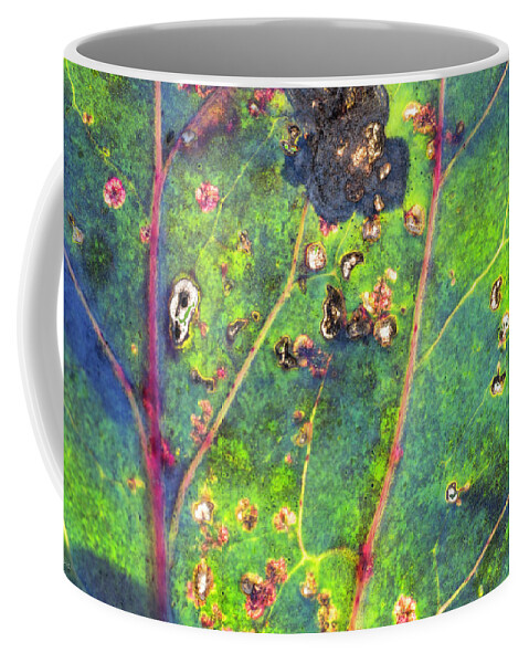 Leaf Coffee Mug featuring the photograph Autumn magic colors by Raffaella Lunelli