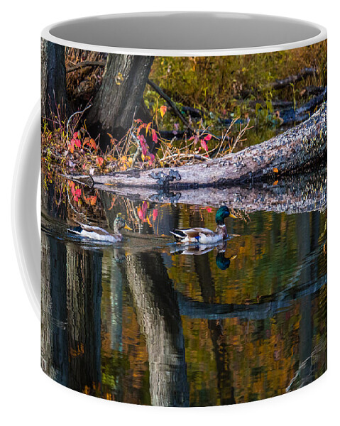 Mallards Coffee Mug featuring the photograph Autumn Mallards by Eleanor Abramson