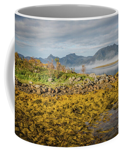 Autumn Coffee Mug featuring the photograph Autumn Morning by Eva Lechner
