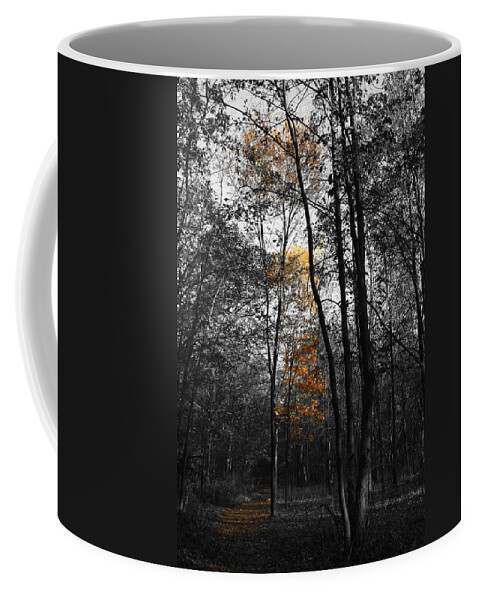 Autumn Morning Coffee Mug featuring the photograph Autumn Morning by Dylan Punke
