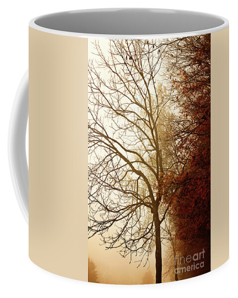 Tree Coffee Mug featuring the photograph Autumn Morning by Stephanie Frey