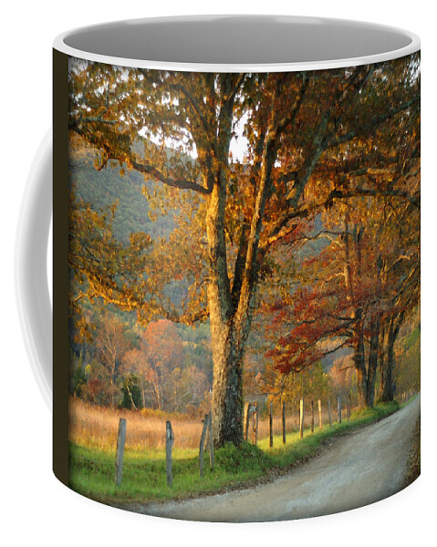 Autumn Coffee Mug featuring the photograph Autumn on Sparks Lane by TnBackroadsPhotos