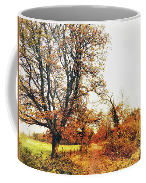 Autumn Coffee Mug featuring the photograph Autumn On White by No Alphabet