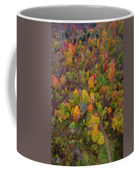Fall Coffee Mug featuring the photograph Autumn Path by Mark Papke