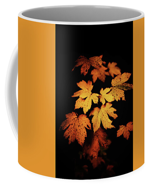 Autumn Coffee Mug featuring the photograph Autumn Photo by Philippe Sainte-Laudy