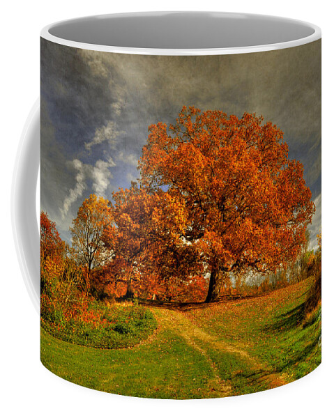 Autumn Coffee Mug featuring the photograph Autumn Picnic on the Hill by Lois Bryan