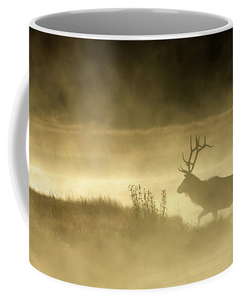 Bull Elk Coffee Mug featuring the photograph Autumn Splendor by Sandy Sisti