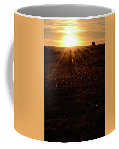Sunset Coffee Mug featuring the photograph Autumn Sunset on the Ranch by Pamela Romjue