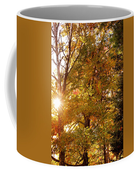 Autumn Sunset Print Coffee Mug featuring the photograph Autumn Sunset Print by Gwen Gibson