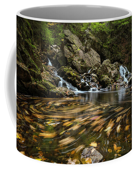 Waterfall Coffee Mug featuring the photograph Autumn Swirl by Juergen Roth