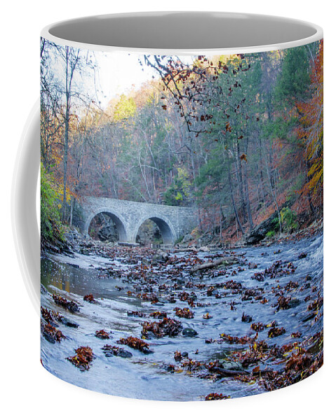 Autumn Coffee Mug featuring the photograph Autumn - The Rex Avenue Bridge - Philadephia by Bill Cannon