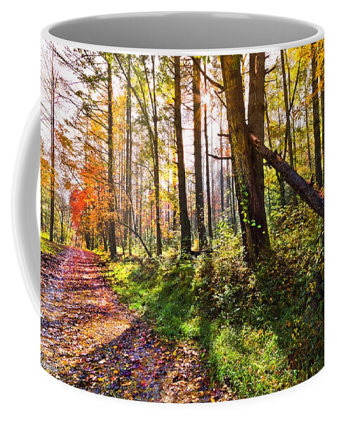 Appalachia Coffee Mug featuring the photograph Autumn Trail by Debra and Dave Vanderlaan