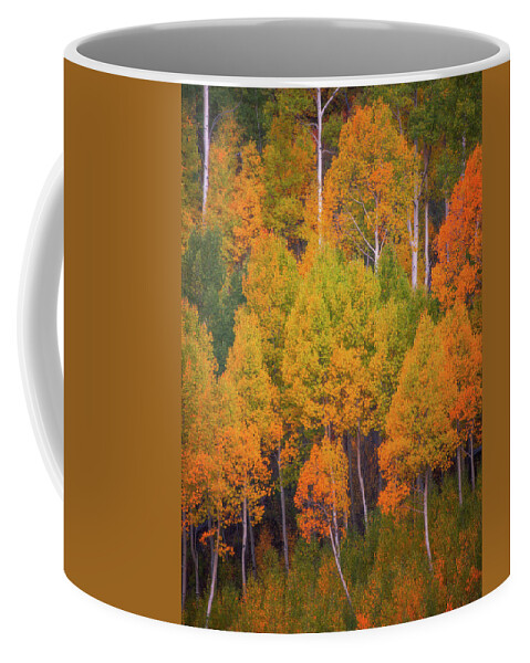 Aspen Trees Coffee Mug featuring the photograph Autumn Trees by Darren White