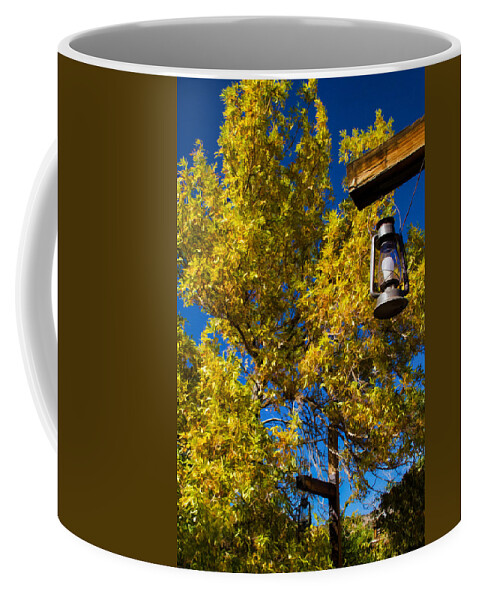 Bonnie Follett Coffee Mug featuring the photograph Autumn Trees with Lantern 2 by Bonnie Follett