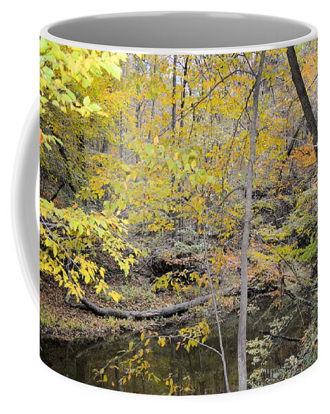 Forest Coffee Mug featuring the photograph Autumn Woods 2 by Bonfire Photography