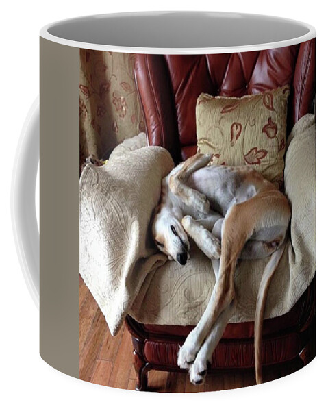Persiangreyhound Coffee Mug featuring the photograph Ava - Asleep On Her Favourite Chair by John Edwards