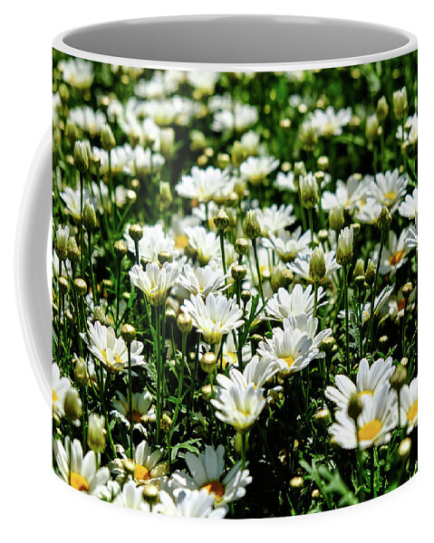 Flowers Coffee Mug featuring the photograph Avalanche Sun Daises by Monte Stevens