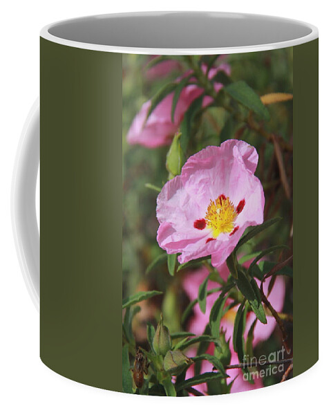 Flower Coffee Mug featuring the photograph Awaiting the Bee by Suzanne Oesterling