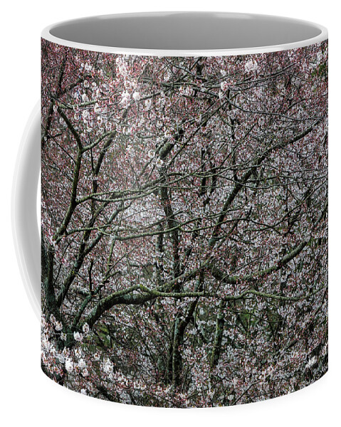 Dogwood Coffee Mug featuring the photograph Awash in Cherry Blossoms by Doug Sturgess