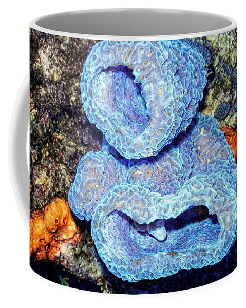 Azure Vase Sponge Coffee Mug featuring the photograph Azure Vase Sponge Impossible Blue by Perla Copernik