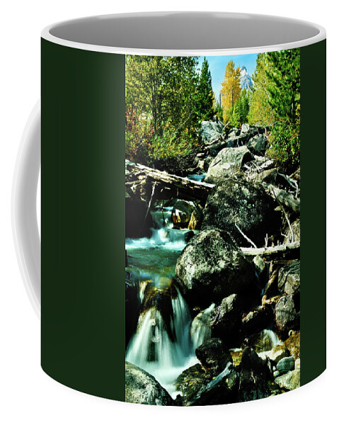Brook Coffee Mug featuring the photograph Babbling Brook by Greg Norrell