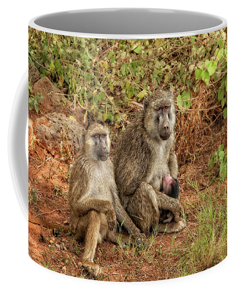 Africa Coffee Mug featuring the photograph Baboon Family in Kenya by Mitchell R Grosky