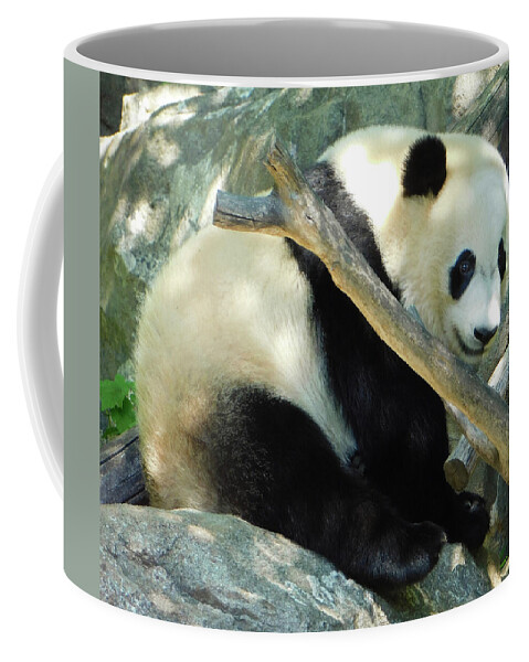 Animal Coffee Mug featuring the photograph Baby Bei Bei The Panda by Emmy Marie Vickers