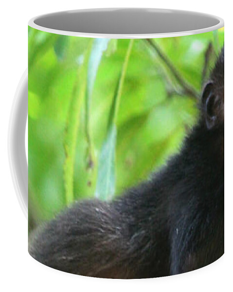 Howler Monkey Coffee Mug featuring the photograph Baby Howler Monkey by Nathan Miller