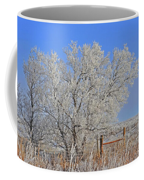Winter Coffee Mug featuring the photograph Baby It's Cold Outside by Amanda Smith