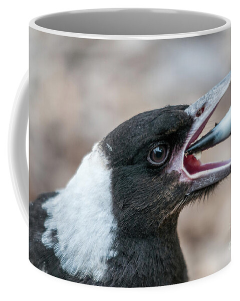 Magpie Coffee Mug featuring the photograph Baby Magpie 2 by Werner Padarin