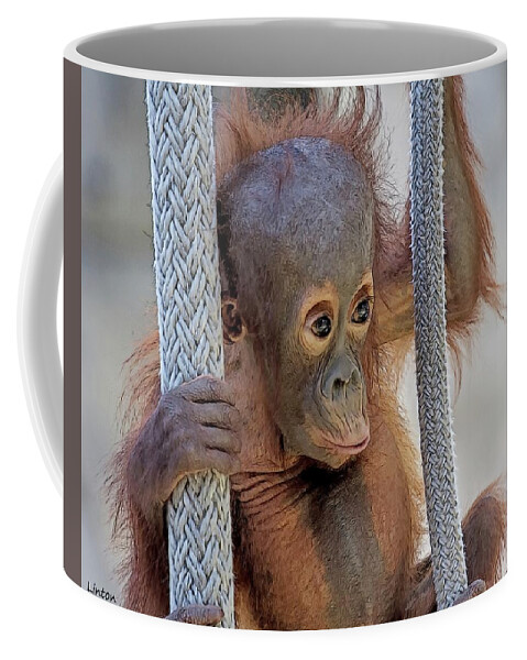 Orangutan Coffee Mug featuring the digital art Baby Orang by Larry Linton