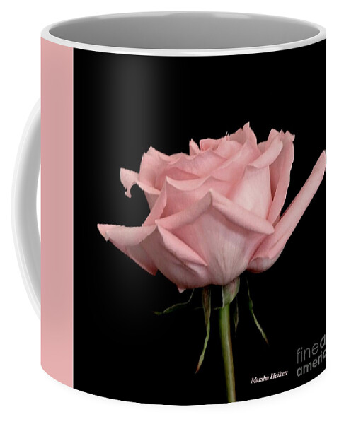 Photo Coffee Mug featuring the photograph Baby Pink Rose Two by Marsha Heiken