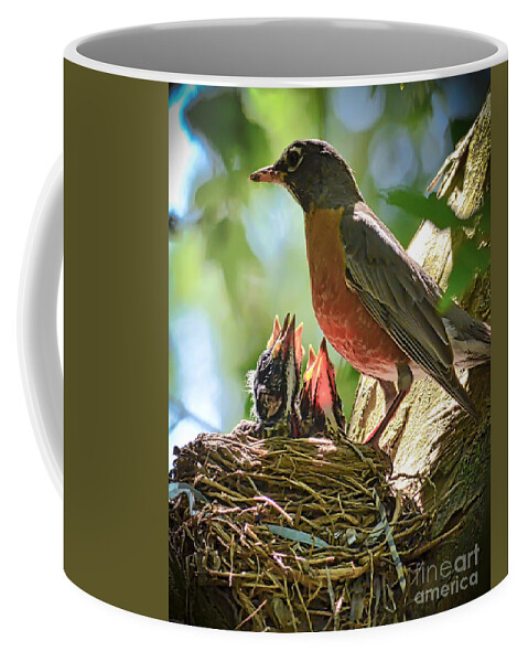 Baby Robins Coffee Mug featuring the photograph Baby Robins - Ready and Waiting by Kerri Farley