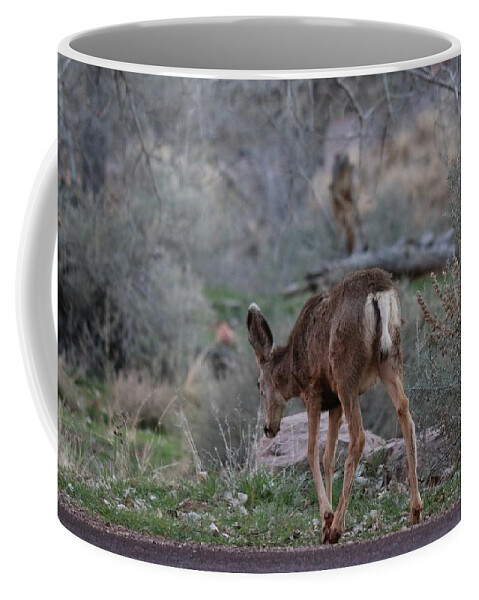 Deer Coffee Mug featuring the photograph Back into the Woods - 2 by Christy Pooschke