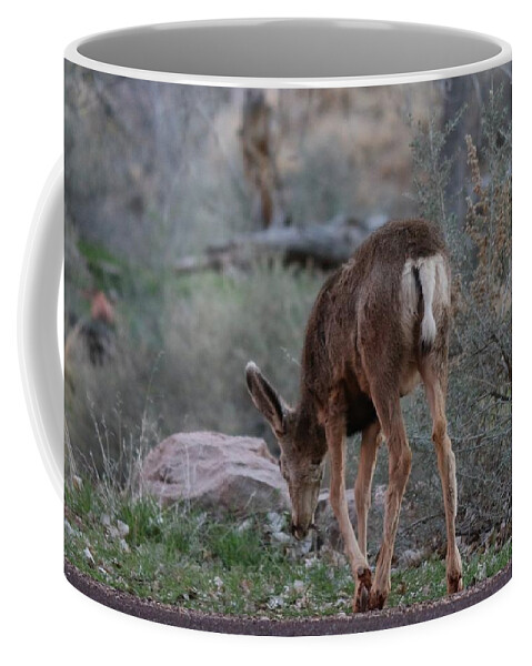 Deer Coffee Mug featuring the photograph Back into the Woods by Christy Pooschke