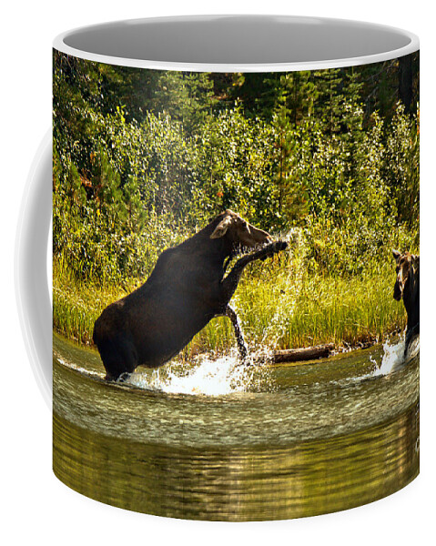 Moose Coffee Mug featuring the photograph Back Off Lady by Adam Jewell