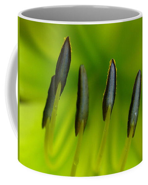 Lily Coffee Mug featuring the photograph Back to Nature by Juergen Roth