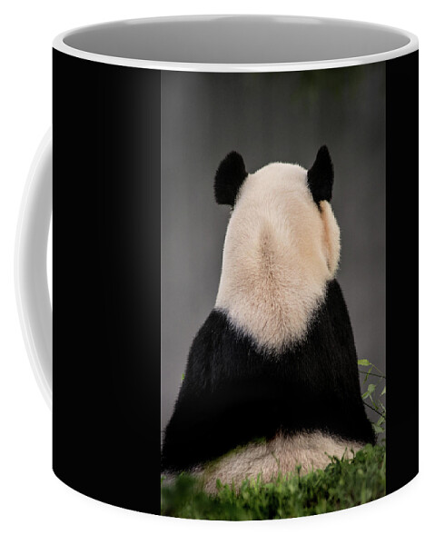 Panda Coffee Mug featuring the photograph Backward Panda by Don Johnson