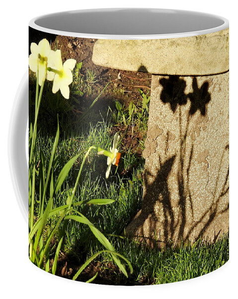 Shadows Coffee Mug featuring the photograph Backyard Bench by Betty-Anne McDonald